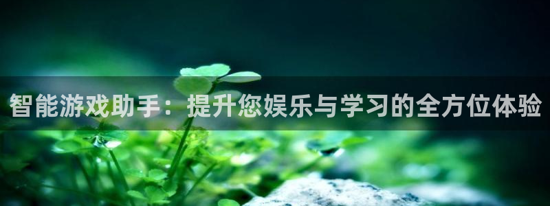 智能游戏助手：提升您娱乐与学习的全方位体验