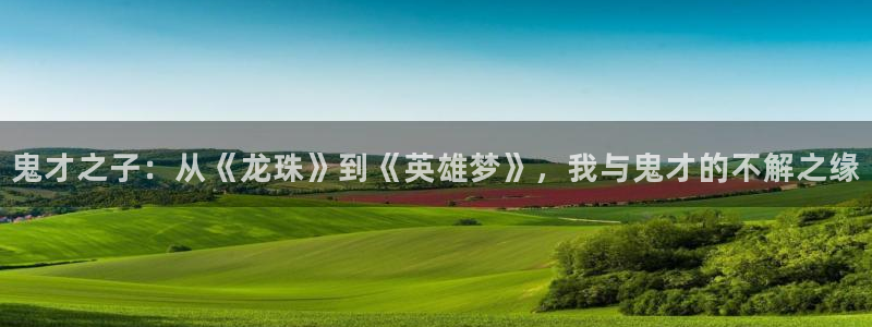 鬼才之子：从《龙珠》到《英雄梦》，我与鬼才的不解之缘