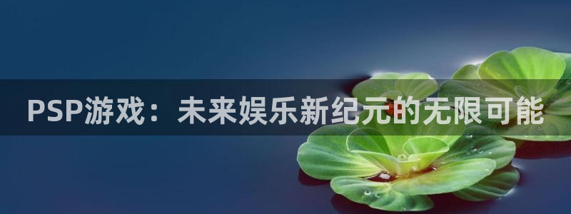 欧陆娱乐滩官网注册入口：PSP游戏：未来娱乐新纪元的无限可能