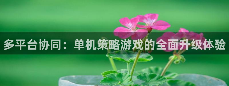 欧陆娱乐平台优势注册平台