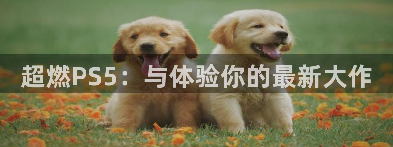 欧陆娱乐平台数字货币充值